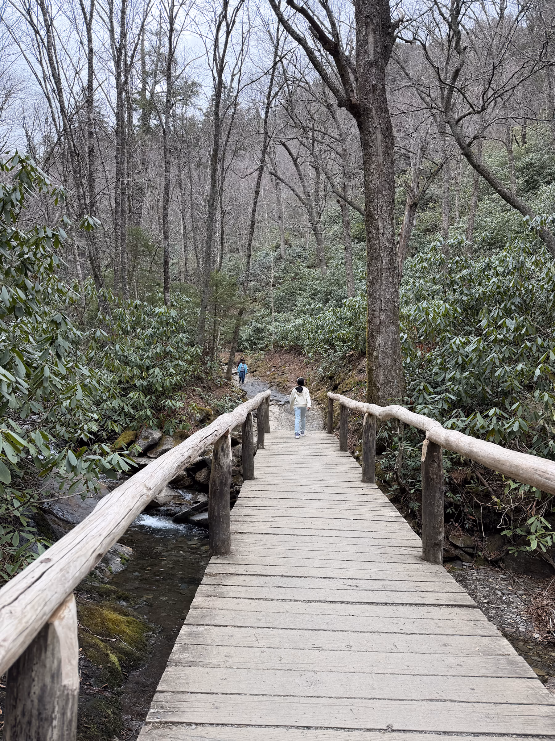 A bridge and wooded section along Alum Cave Trail