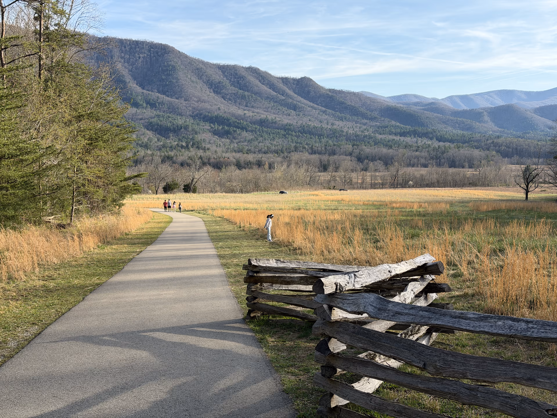 Cades Cove road and open valley at dusk