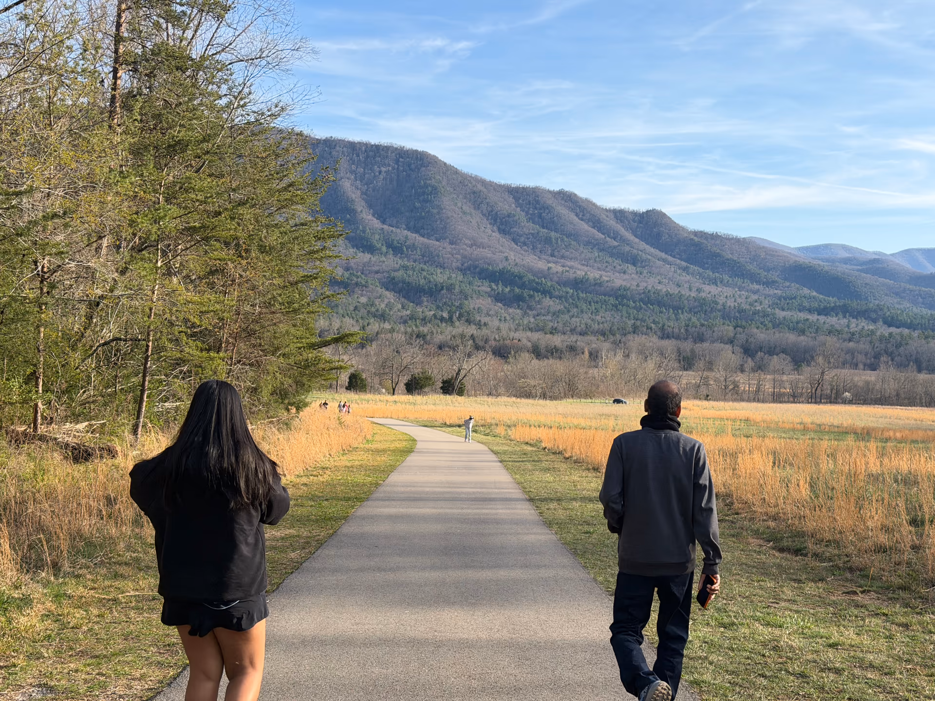 Cades Cove path and open valley with mountains in the distance