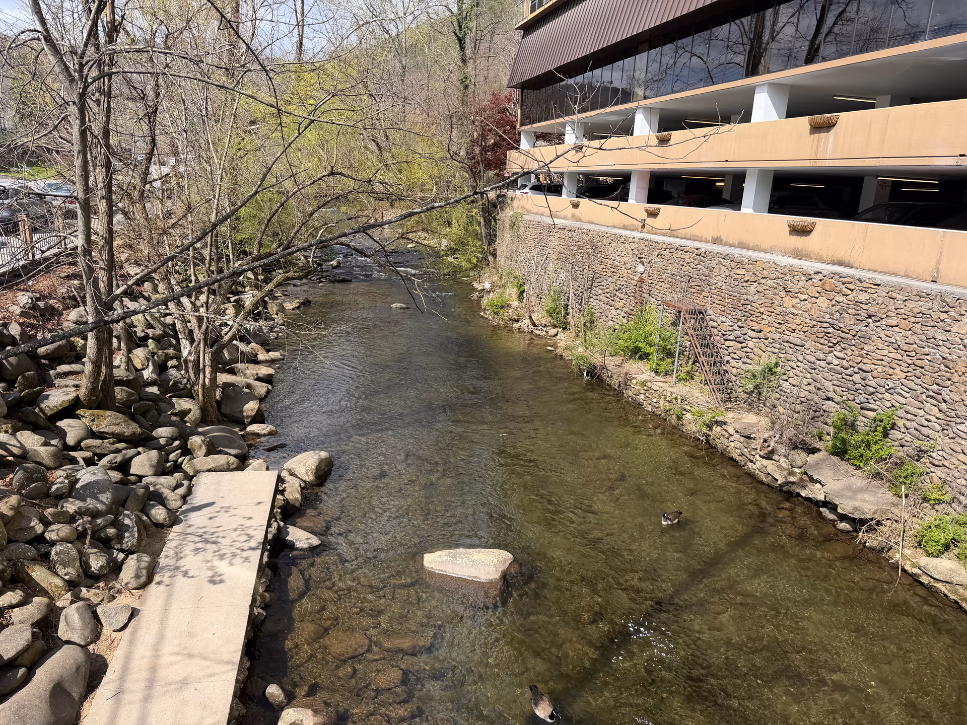 The river running through downtown Gatlinburg beside buildings and walkways