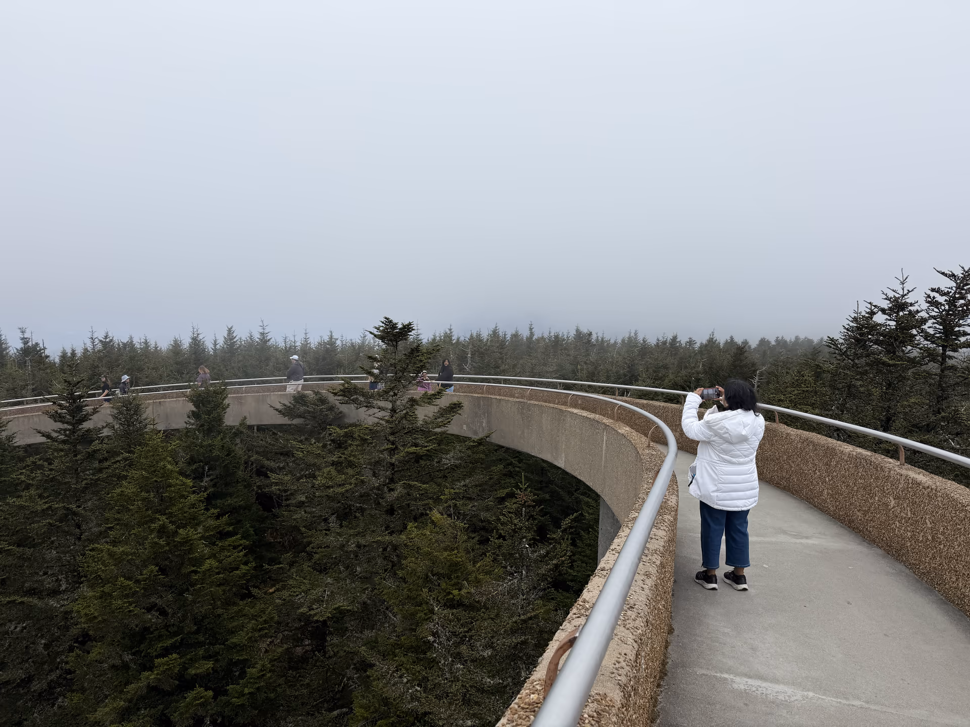 The observation tower path at Kuwohi in Great Smoky Mountains National Park