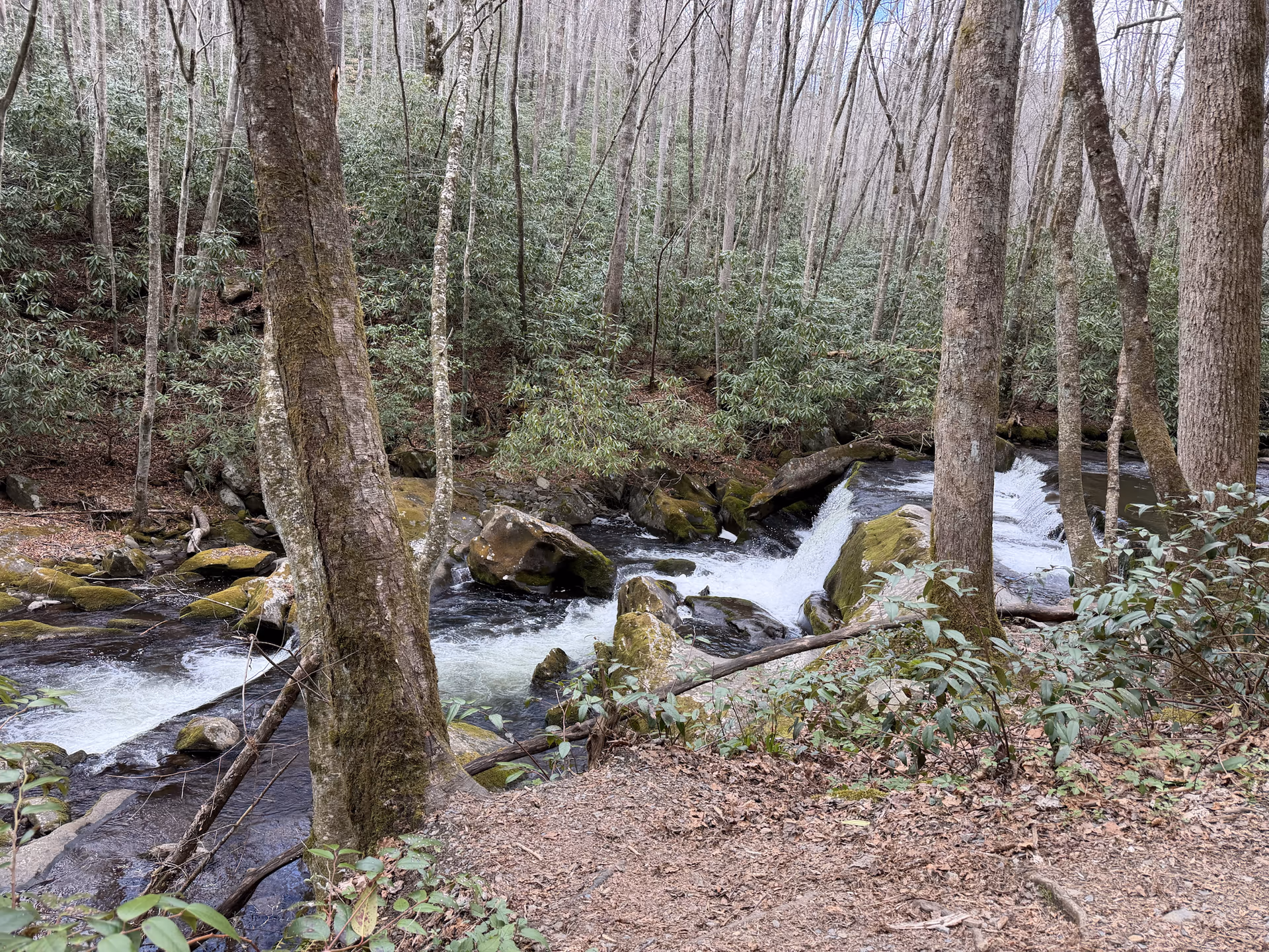 Lynn Camp Prong Cascades near Tremont in Great Smoky Mountains National Park