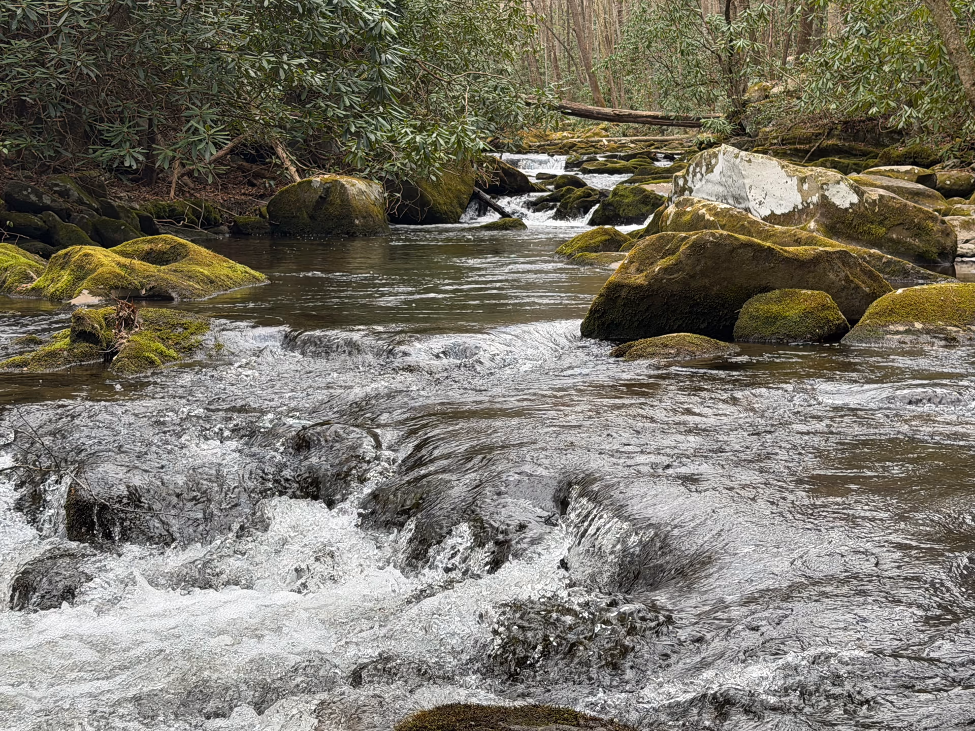 Close view of water moving over rocks at Lynn Camp Prong