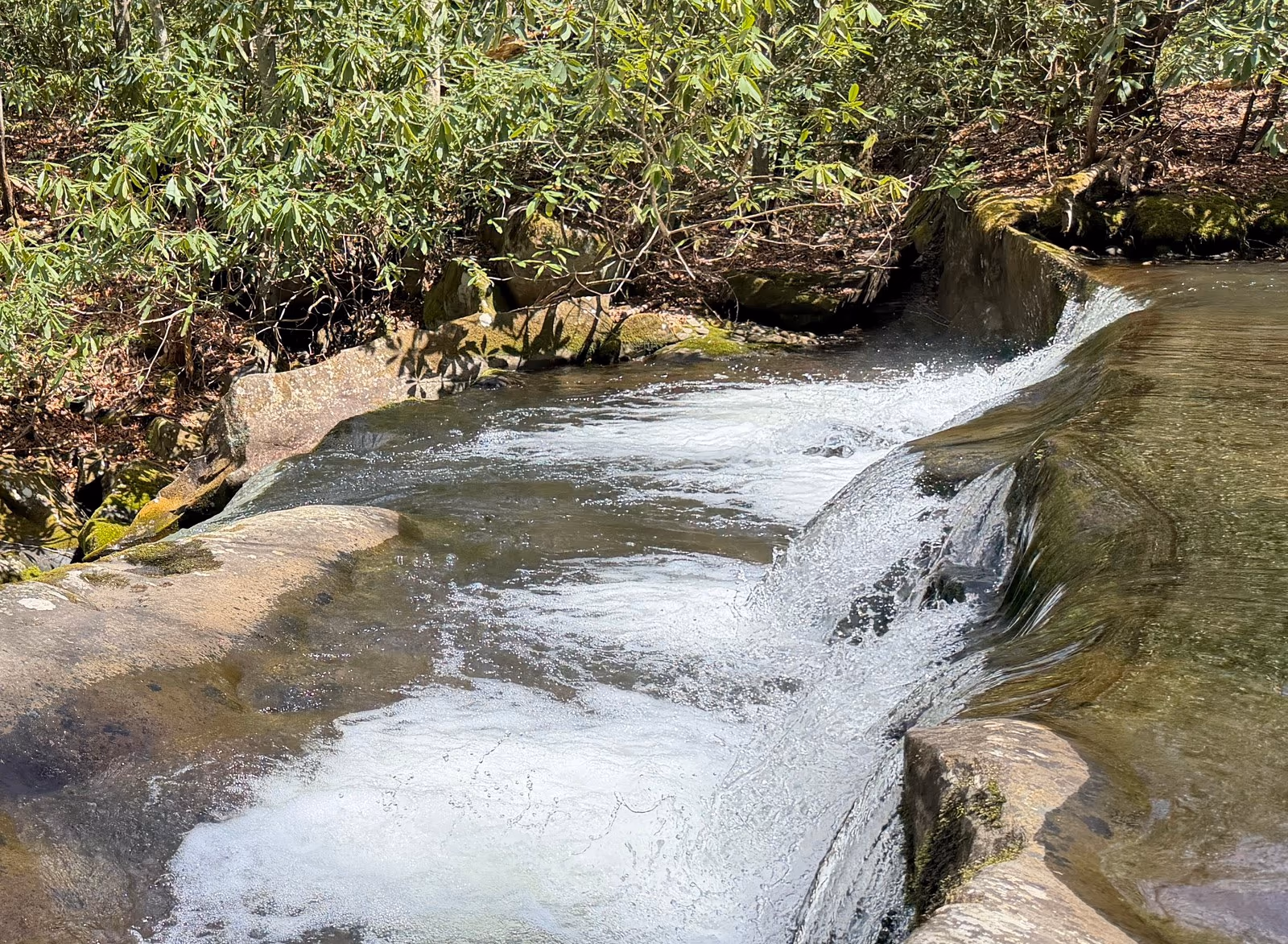 Water sliding over smooth rock at Lynn Camp Prong