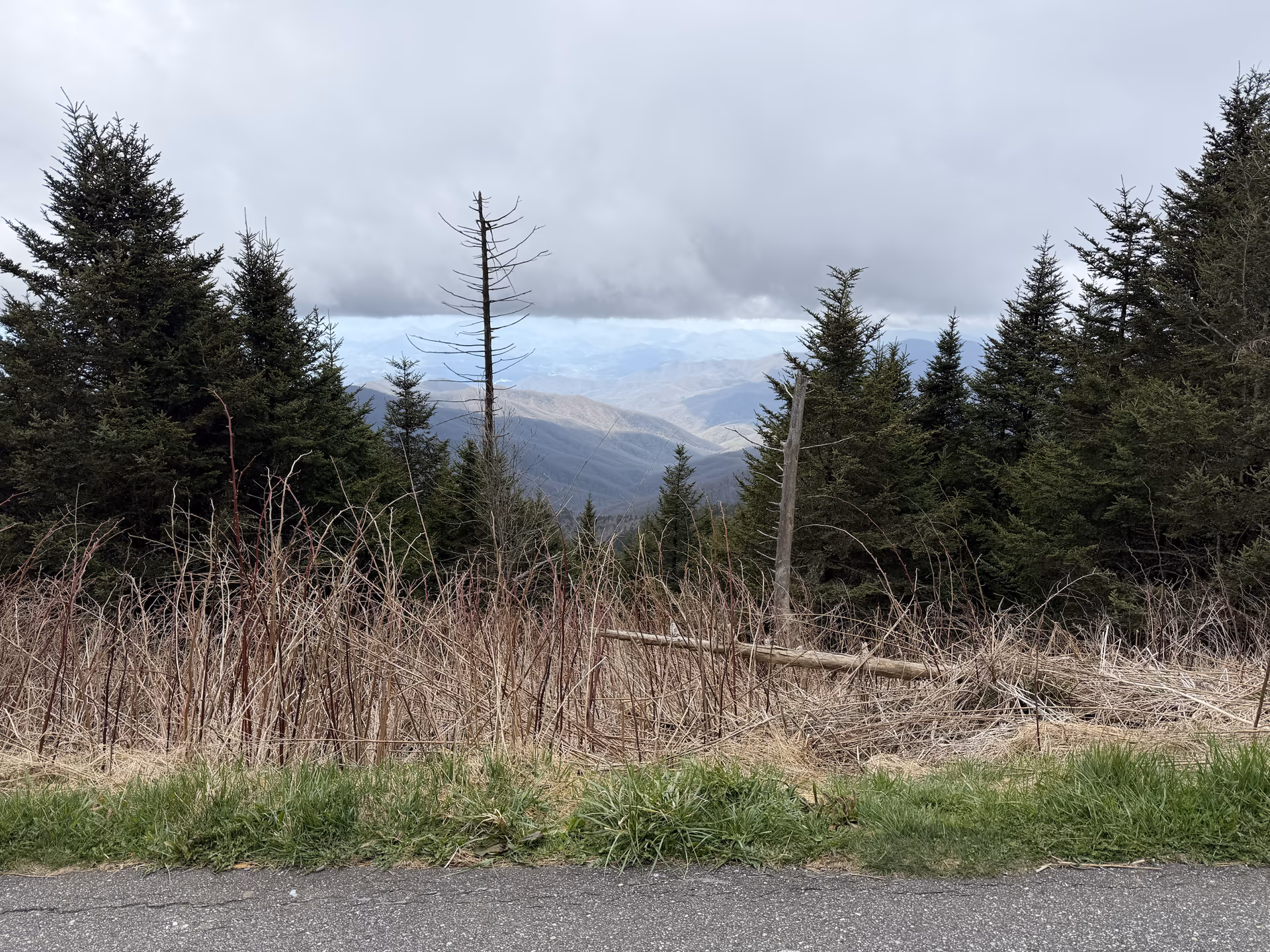 Layered mountain view from Newfound Gap in Great Smoky Mountains National Park