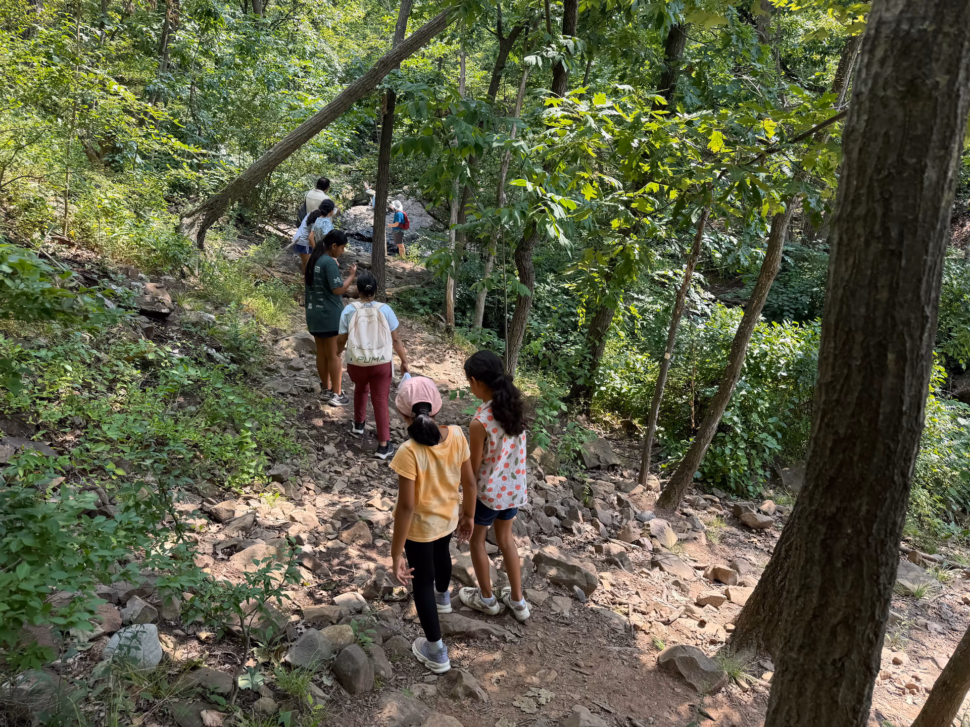 A family group walking down the trail at Hemlock Falls from behind
