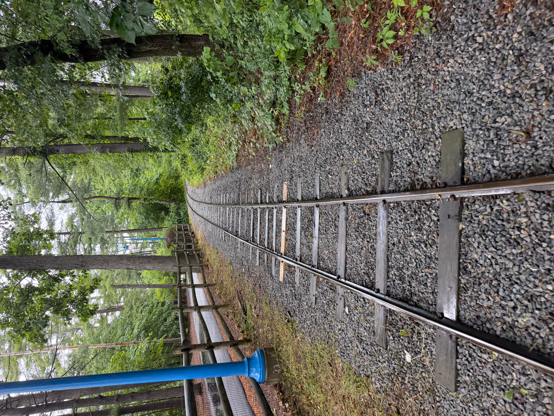 Narrow zoo train track curving through green trees