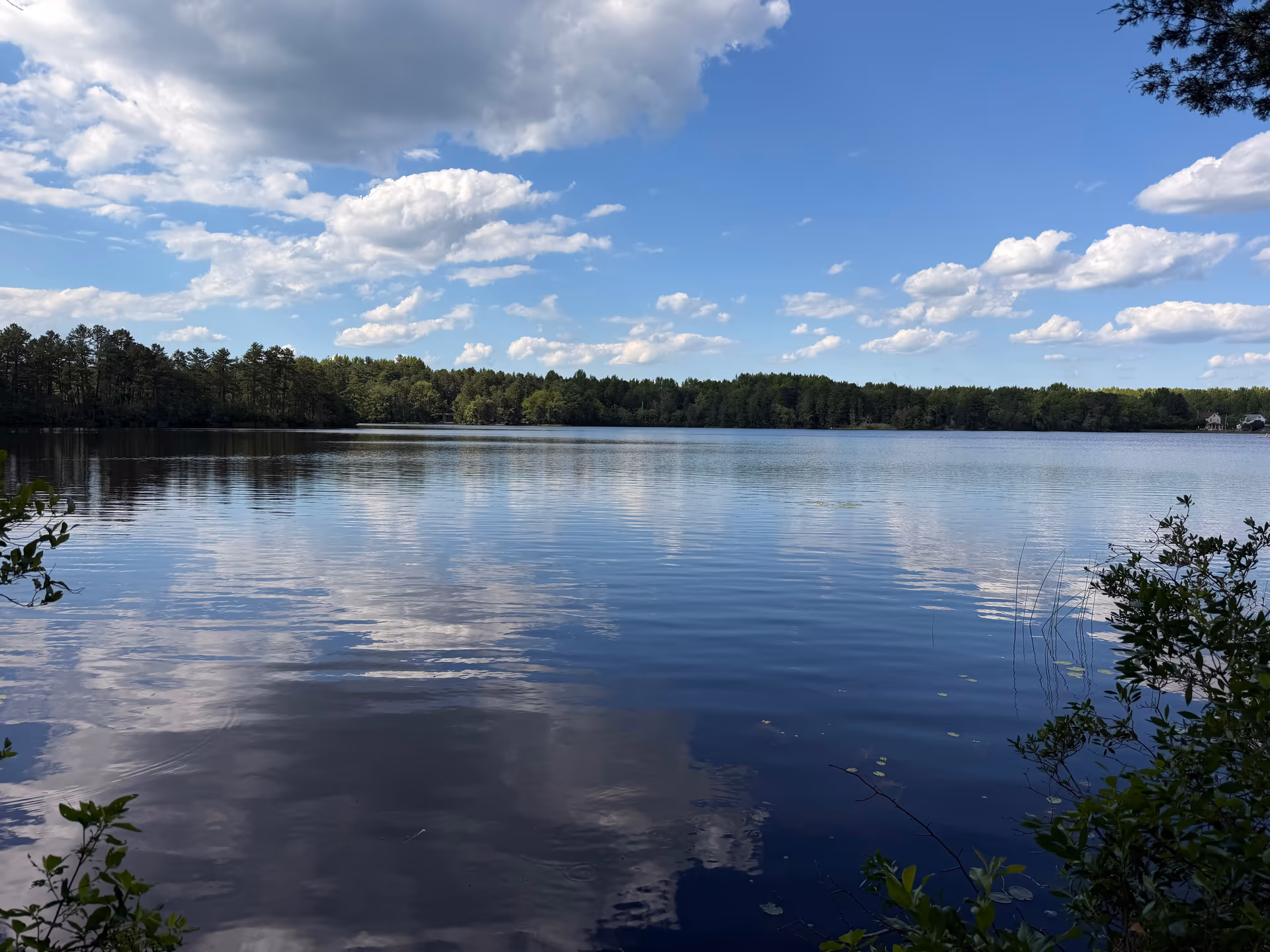 Clouds reflected in Atsion Lake beside the wooded shore
