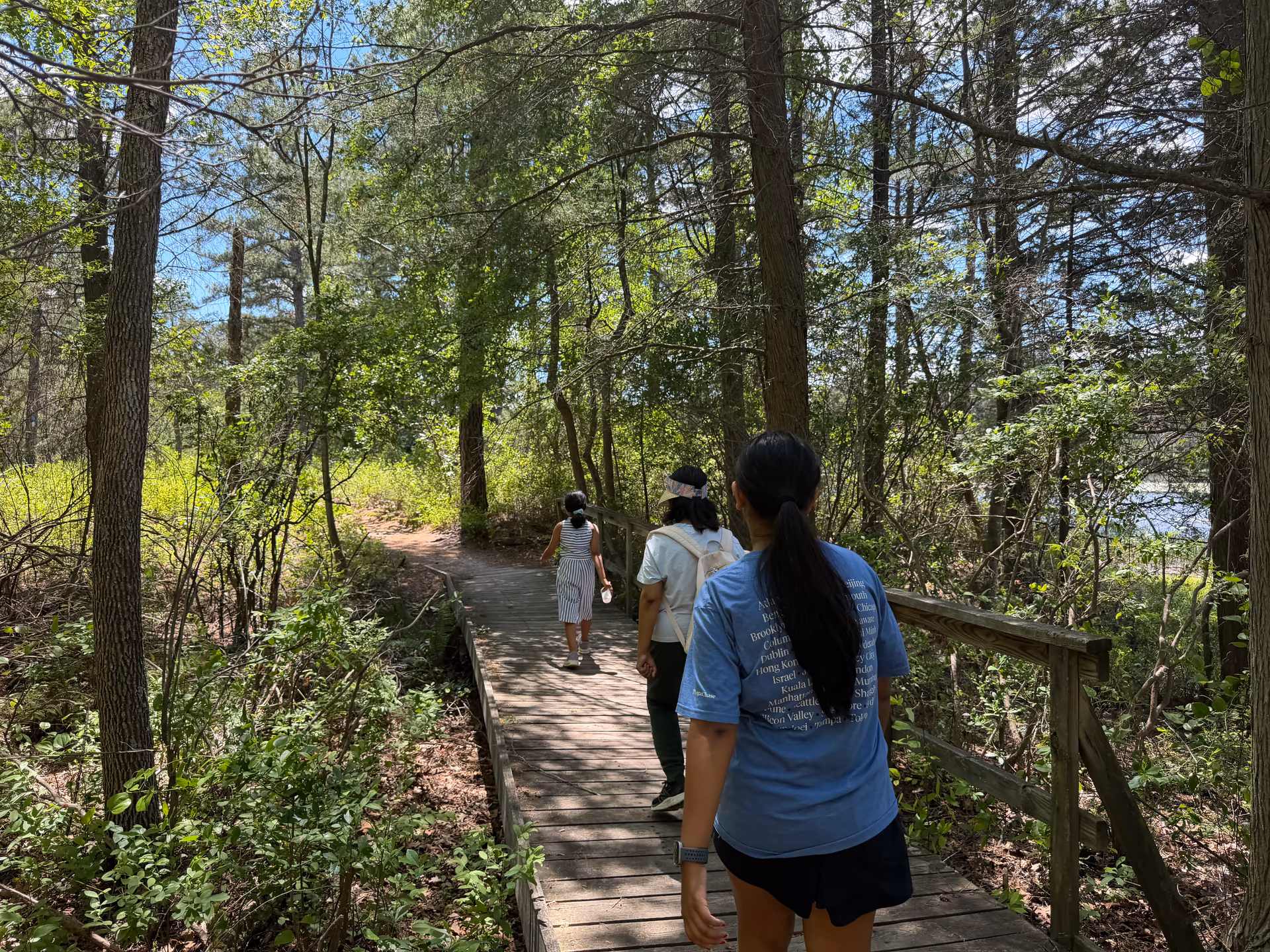 Boardwalk section of the Batsto River trail through trees
