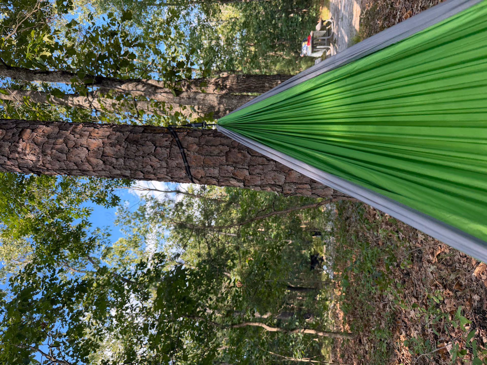 Close view of a green hammock stretched between trees in the campsite