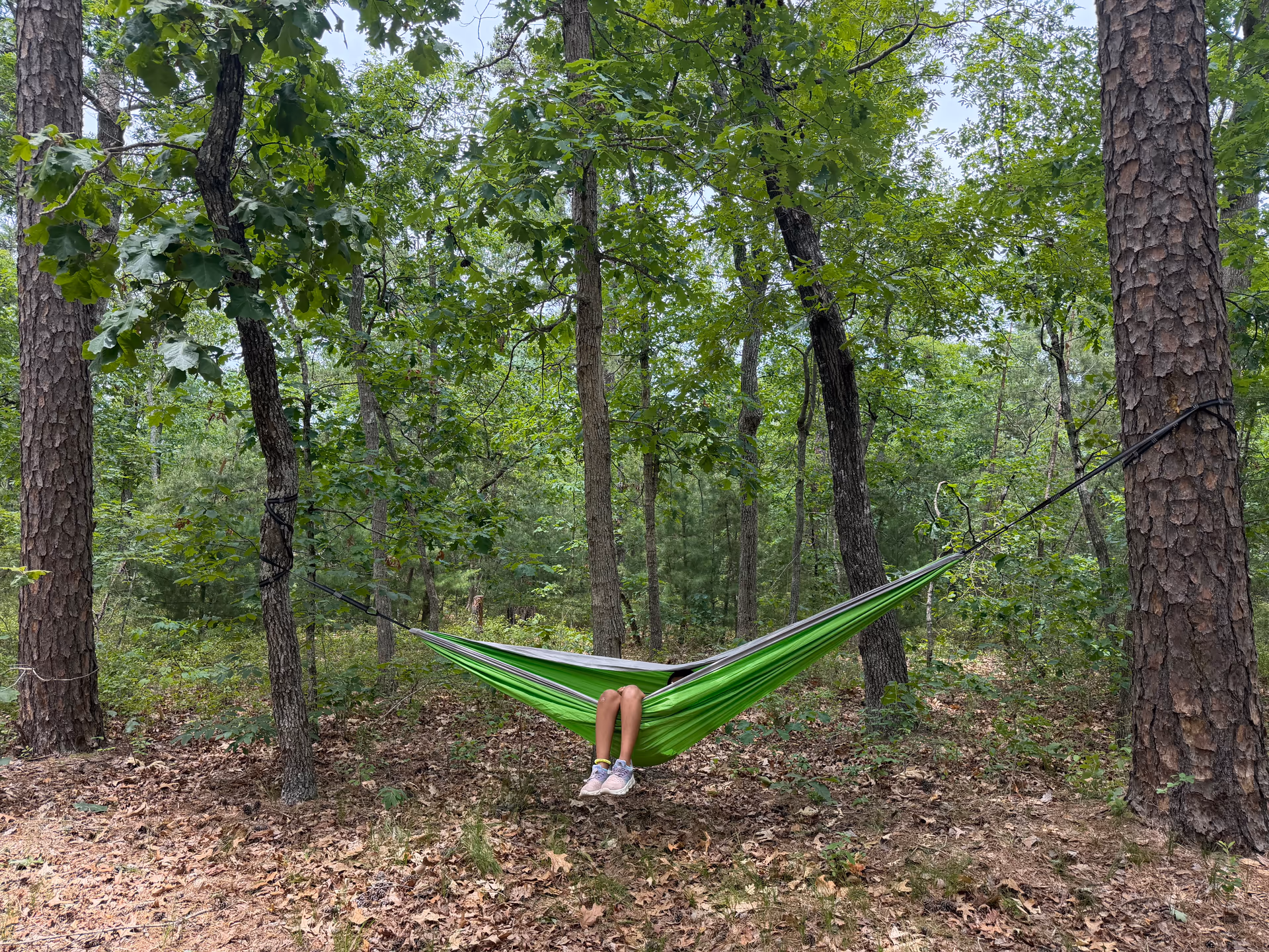 Green hammock tied between trees at the campsite