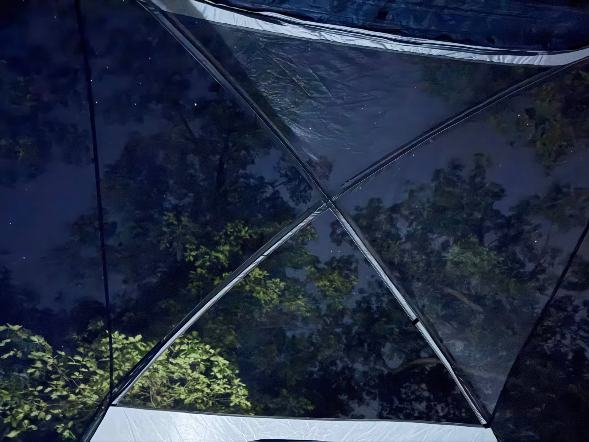 Stars and tree silhouettes visible through the mesh roof of a tent without the rainfly